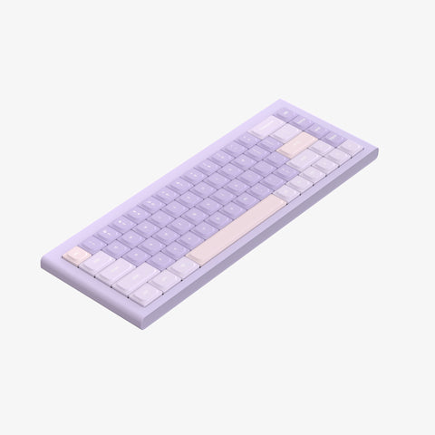 RIE68 Bluetooth & 2.4g mechanical keyboard（Purple）